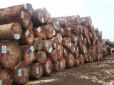 African Hard Wood Timber Logs _ Lumber For Sale 